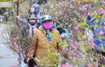 Chợ hoa Xuân Hà Nội nhộn nhịp, khách nườm nượp "chốt đơn"