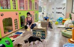 Đa dạng dịch vụ homestay cho thú cưng đón Tết 