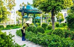 Vì sao Vinhomes Ocean Park 2 hút khách hàng cao niên về tận hưởng tuổi hưu an nhàn