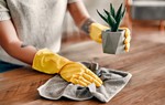 Dọn dẹp nhà cửa đón Tết như thế nào để tránh bị dị ứng với bụi?