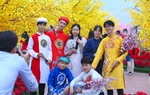 Du khách đổ xô đến chụp ảnh với dàn linh vật rồng đẹp sắc sảo tại đường hoa Tết Đà Nẵng 
