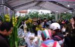 Tiểu thương hạ giá sốc để thu hồi vốn, người dân chen chân đi mua cây cảnh giá rẻ chiều 30 Tết