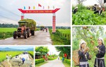 Sửa nhiều tiêu chí xã nông thôn mới nâng cao