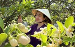 Hương tháng Ba