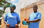 Đầu tư vào phụ nữ nông thôn để chấm dứt nghèo đói ở Malawi