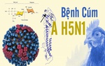 Ca nhiễm cúm A/H5N1 đầu tiên trong năm tử vong sau 12 ngày phát bệnh 