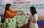 Hành trình nâng tầm giá trị của trái bưởi non