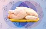 6 lưu ý khi chế biến thịt gà thời điểm dịch cúm gia cầm gia tăng