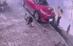 Kinh hoàng clip bé gái bị chó lao vào cắn xé trên vỉa hè gây trọng thương: Hiểm họa từ chó thả rông
