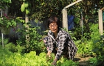 An Nhơn (Bình Định): Nhà sạch, vườn xanh từ mô hình ủ phân hữu cơ tại nhà hội viên phụ nữ