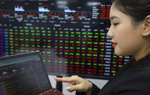 VN-Index tăng dài, lấy lại niềm tin cho các nhà đầu tư nữ