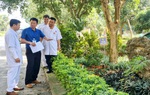Ứng dụng đề tài khoa học giúp bệnh viện xanh, sạch, đẹp hơn
