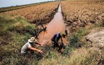 Thủ tướng chỉ đạo ứng phó đợt xâm nhập mặn cao điểm tại Đồng bằng sông Cửu Long