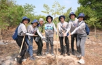 Trồng 2.700 cây lim tại rừng phòng hộ Phước Thuận