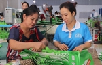 Sản xuất túi nylon tự hủy tạo việc làm cho 100 lao động với mức thu nhập 4-6 triệu đồng/tháng