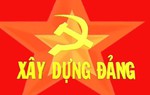 Bộ Chính trị, Ban Bí thư xem xét, thi hành kỷ luật tổ chức đảng, đảng viên