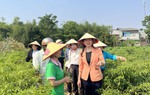 Phó Chủ tịch Hội LHPN Việt Nam Tôn Ngọc Hạnh làm việc với Hội LHPN Bình Định