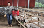 Khởi nghiệp từ những mô hình trồng trọt, chăn nuôi tại địa phương
