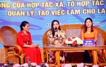 Hà Tĩnh: Chia sẻ kinh nghiệm thúc đẩy phụ nữ phát triển kinh tế tập thể