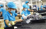 3 nguyên tắc cho vay trực tiếp của Quỹ Phát triển doanh nghiệp nhỏ và vừa