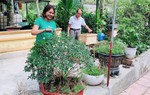 Hà Tĩnh: Đẩy mạnh công tác tham mưu, đề xuất chính sách giải quyết những vấn đề thiết thân của phụ nữ
