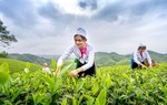 Trải nghiệm nhiều hành trình du lịch hấp dẫn trong dịp Giỗ Tổ Hùng Vương - Lễ hội đền Hùng năm 2024