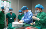Thành lập Chi hội vận động hiến mô, bộ phận cơ thể người Việt Nam tại khu vực phía Nam