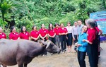 Nhân rộng mô hình "Chi hội phụ nữ thu gom rác thải tái chế" giúp phụ nữ nghèo ở Thành phố Hoà Bình