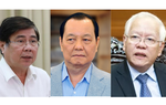 Bộ Chính trị, Ban Bí thư xem xét, thi hành kỷ luật tổ chức đảng, đảng viên