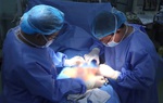 Người đàn ông trong lúc giúp heo mẹ đẻ, bị heo táp rách “của quý”