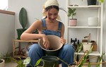 4 loại cây quen thuộc là "máy lọc không khí" tự nhiên tốt nhất cho phòng ngủ