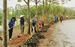 "4 tại chỗ, 3 sẵn sàng" phòng chống thiên tai, bão lũ 