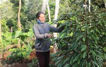 Đắk Lắk: Phụ nữ Buôn Hồ lồng ghép hiệu quả các hoạt động thay đổi nếp nghĩ, cách làm