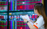 VN-Index phiên cuối tuần chịu lực xả mạnh, rơi tự do 20 điểm