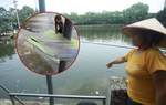 Vụ thi thể đôi nam nữ dưới ao ở Bắc Giang: Người dân kể lại khoảnh khắc ám ảnh khi phát hiện sự việc