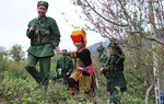 Truyện ngắn: Biên cương hoa trắng