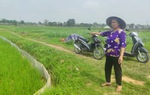Ba Vì (Hà Nội): Cán bộ "làm tắt", 77 hộ dân bị mất ruộng