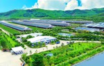 Hệ sinh thái "Net Zero" đã vượt ra ngoài những trang trại xanh của Vinamilk