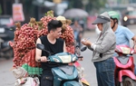 Bắc Giang: Người dân phấn khởi vì giá vải thiều cao chưa từng có, gần 100.000 đồng/kg