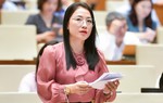 Đại biểu Quốc hội: Đề nghị truy cứu trách nhiệm hình sự việc mua bán thai nhi