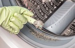 Nhà vi trùng học tiết lộ "độ bẩn" của máy giặt: Trong đó có vi khuẩn, virus, nấm mốc và cả phân người