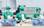 Chấp nhận tính cạnh tranh cao khi sản xuất, kinh doanh sữa hạt  