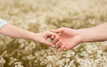 Truyện ngắn: Đón em về