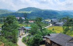 "Bất lực" vì giá nhà ở thành phố tăng cao, người trẻ về quê mua đất