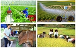 Tổ chức Tổng điều tra nông thôn, nông nghiệp năm 2025