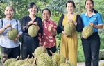Cần có thêm dự án hỗ trợ phụ nữ nông thôn khởi nghiệp