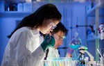 Bước đột phá trong điều trị ung thư vú nhờ bảo quản mô trong gel