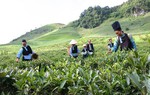 9 điểm mới đối với doanh nghiệp, cơ quan quản lý trong Luật Đất đai 2024