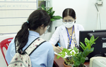 TPHCM: Kiểm tra sức khỏe cho các cặp nam, nữ trước khi kết hôn