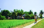 Quay quắt nhớ con đường quê